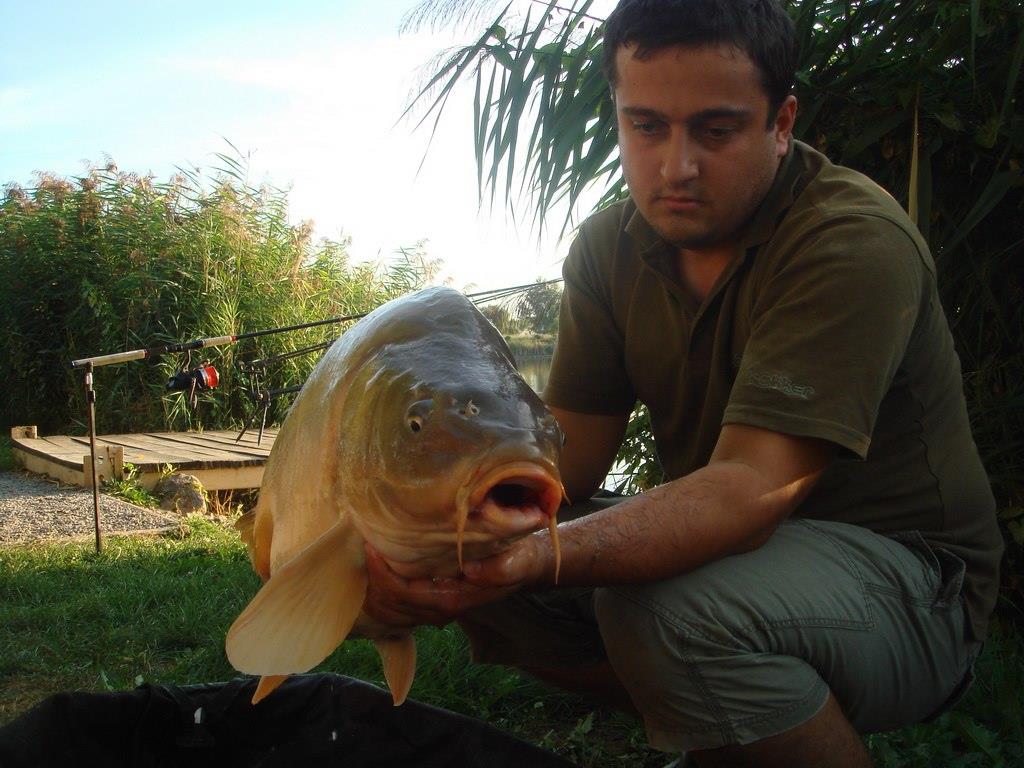 Nagykallo 2012 - 15.jpg